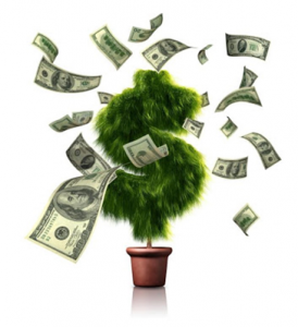 IAC - Money Tree