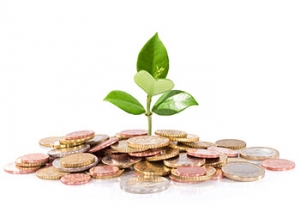Money and plant